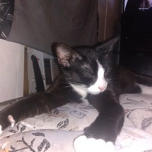 Meet your Posher, Kalie